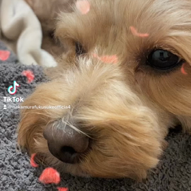 2023/01/22の画像