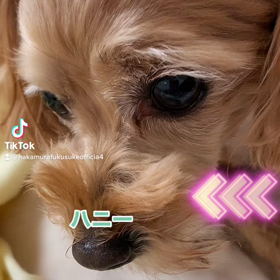 2022/11/06の画像