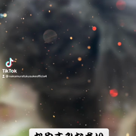 2022/09/22の画像