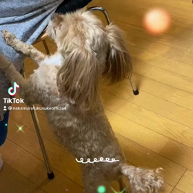 2023/01/12の画像