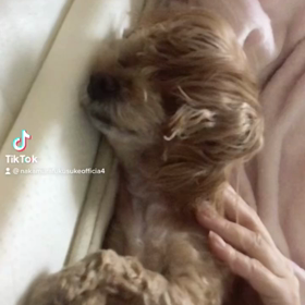 2023/03/12の画像