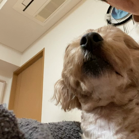 2022/01/29の画像