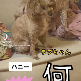 2022/12/25の画像