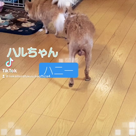 2023/02/10の画像