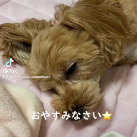 2022/09/21の画像