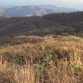 山シーズン突入の画像