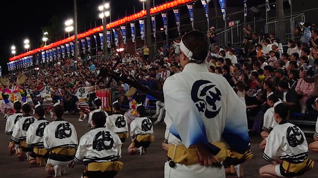 今年も堪能阿波踊り！！の記事動画