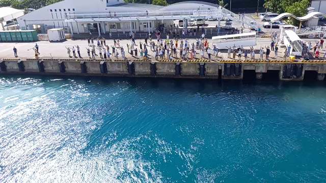夢のような6日間の旅　最終回の記事動画