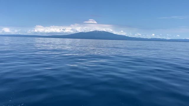 ぐるっと一回り！の記事動画