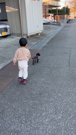 一足早くひな祭りの記事動画