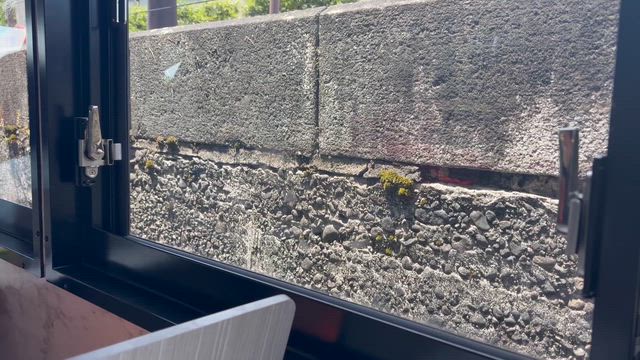 富岩水上ラインと県立美術館　(追記あり)の記事動画
