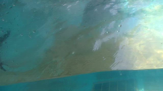 ご先祖様の旅　長崎ペンギン水族館の記事動画