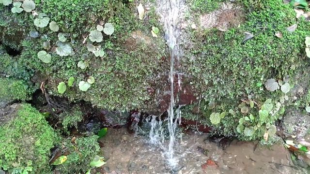 宇宙と繋がる鞍馬寺の記事動画