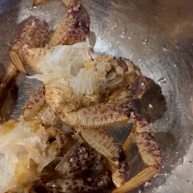 蟹カニかにの画像