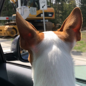 初めての電車かと思いきや！！！の画像