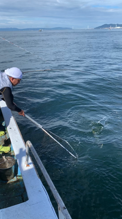 7/31(日)チャーター船(青物)釣果の記事動画