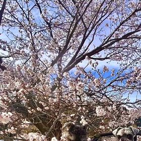 2026/04/01の画像