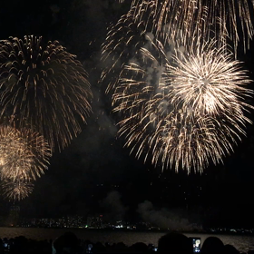 今年も見れた花火の画像