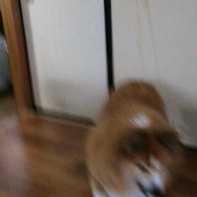 リバーなぜか怒るの画像