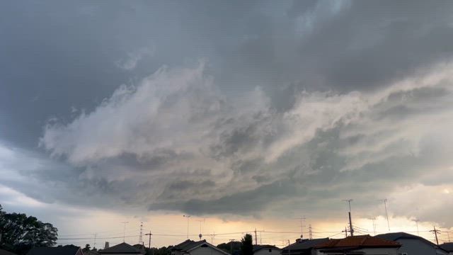 2024/08/01【最近の出来事と降り注ぐ愛を受け取ってくださいね】の記事動画