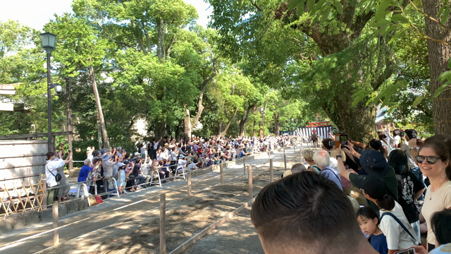 #◯◯祭りに行きたいの記事動画