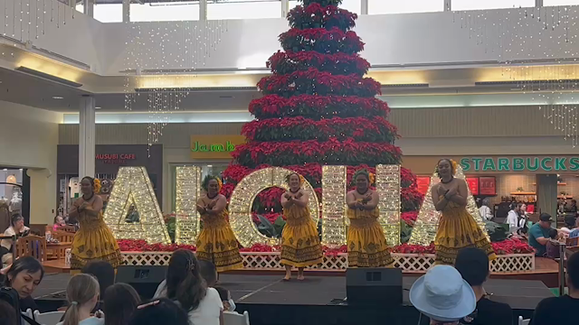 アロハを感じるクリスマスの記事動画