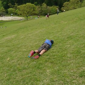 ゴロゴロの画像