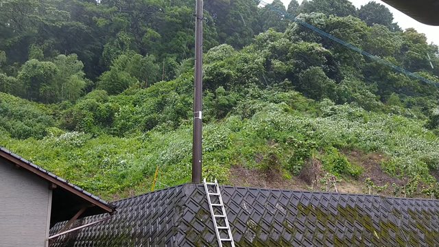 大荒れの天気！の記事動画