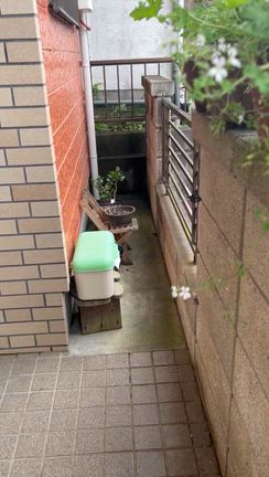 雨の日が続きましたの記事動画