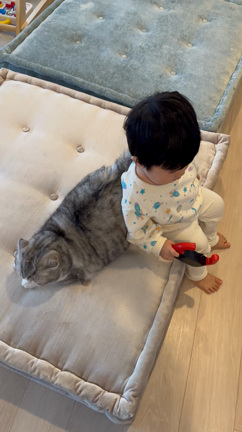 1歳5ヶ月毎日ルーティンの記事動画