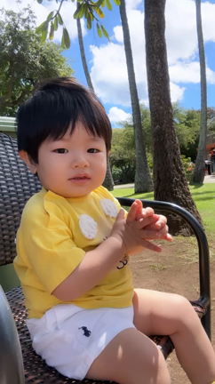子連れと楽しいハワイスポット②の記事動画
