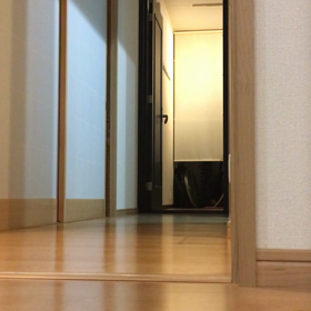 久しぶりのボールの画像