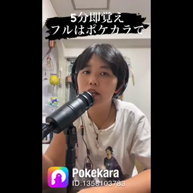 Pokekara：玉置浩二/メロディー Vol.２の画像