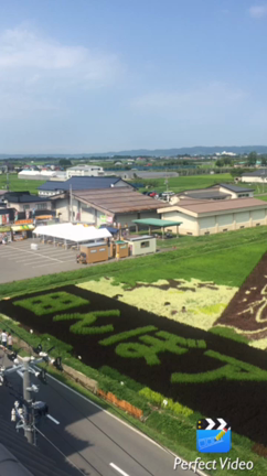 ◆毎日暑いですがいかがお過ごしですか？の記事動画