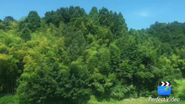 ◆毎日暑いですがいかがお過ごしですか？の記事動画