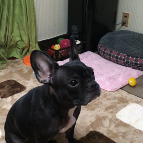 本日2回目のUPの画像
