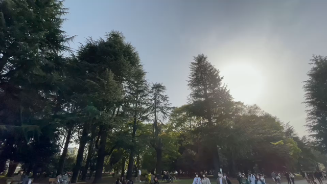 3月31日9わんこと2時間30分遠足　代々木公園表参道の記事動画