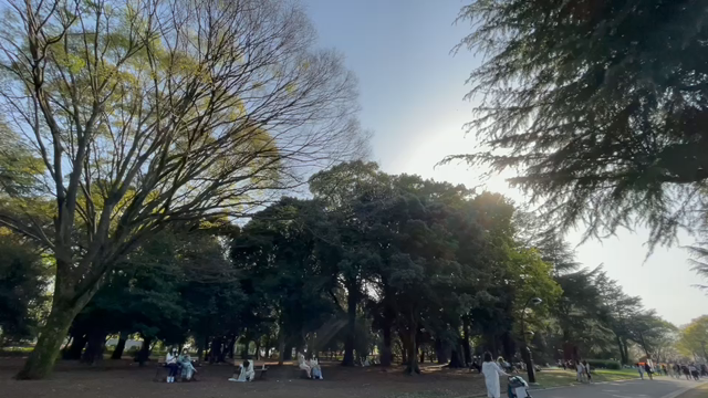 3月29日11わんこと3時間遠足　代々木公園表参道の記事動画