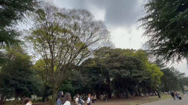3月30日12わんこと3時間遠足　代々木公園表参道の記事動画