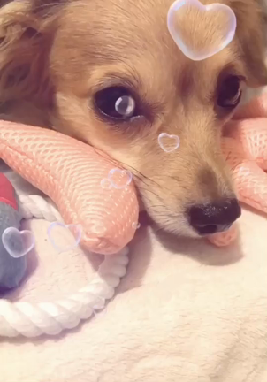 まんまと・・・笑の記事動画
