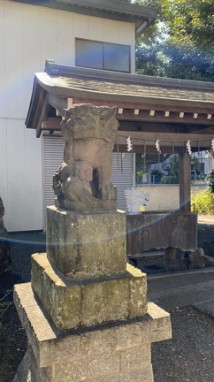 多摩川白衣観音と癒やしの深大寺周辺の記事動画