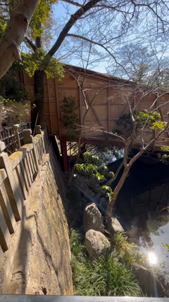 深大寺だるま市と、ランチ会で思ったこと！の記事動画