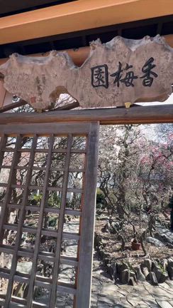 まや開運♡の記事動画