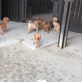今日のふる里舎ワサワサの画像