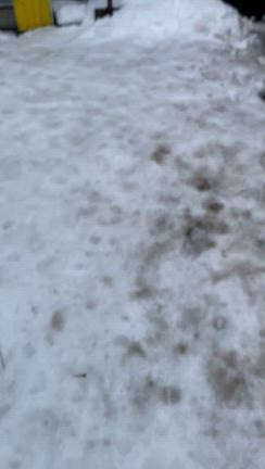 ご卒業おめでとう、おじさん。の記事動画