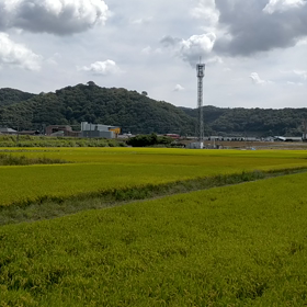 いまさらですが・・・の画像