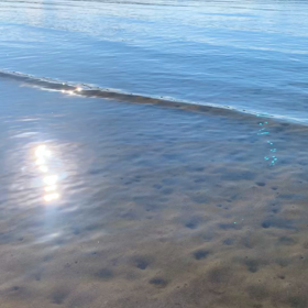 優しい気持ちの画像