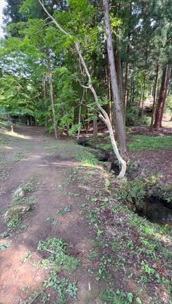 風水鑑定in京都府、そしてちょっと寄り道の記事動画