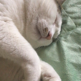 姉が来た＆ 母の病院の画像