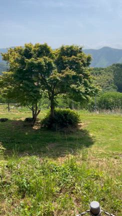 不思議な山【皆神山】の記事動画